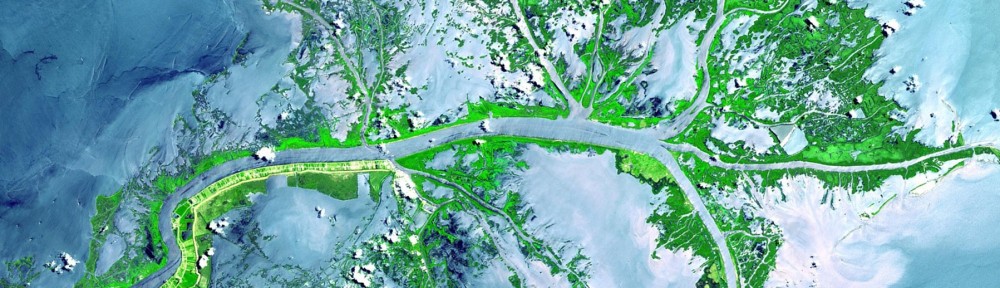cropped-Mississippi_delta_from_space