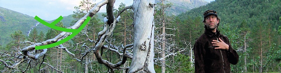 site990x25014_1456402302