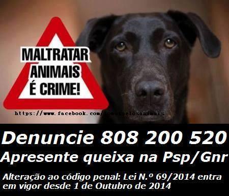 10171127_292668904249714_2413844382044681240_n