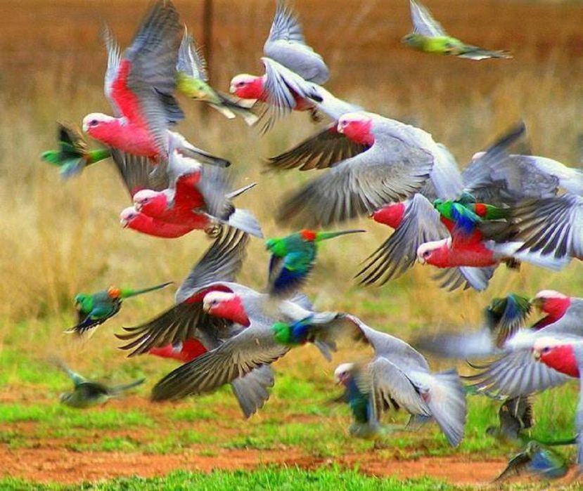 16e33b8fd7ad7ca58b03c6bbca1f0b81_L