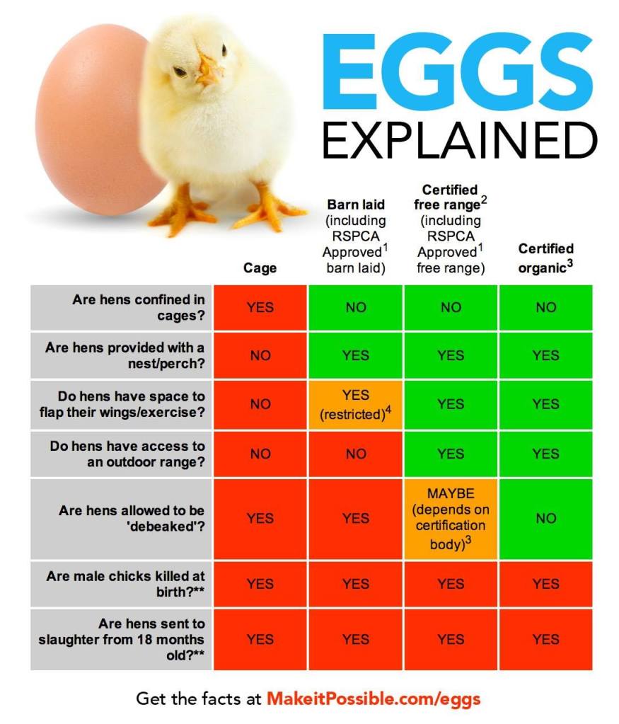 892-egg-chart