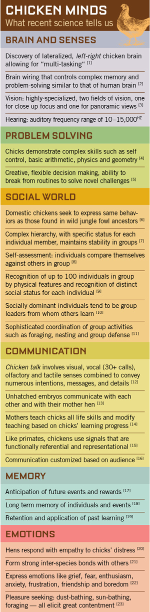 chicken_minds_infographicweb