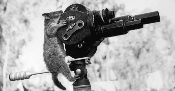 12985621_10153348398280728_8887760572745989940_n