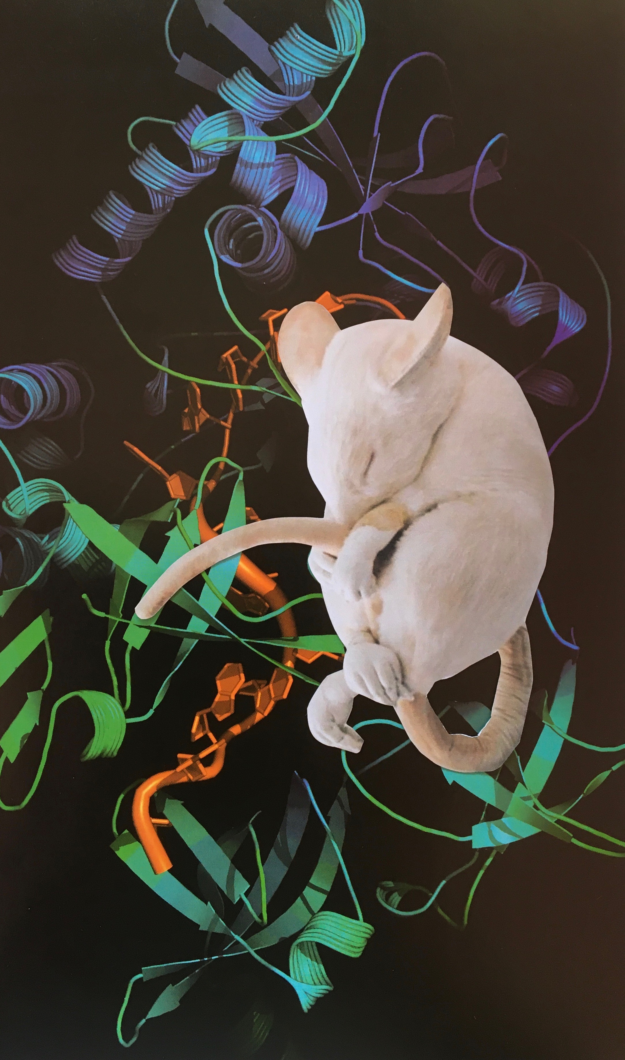 Ana Gonçalves_Da série Tu és uma combinação de todos os lugares possíveis em que podes estar até olharmos para ti, 2021