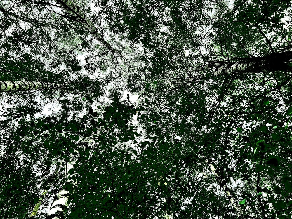 Ilda Teresa Castro 2